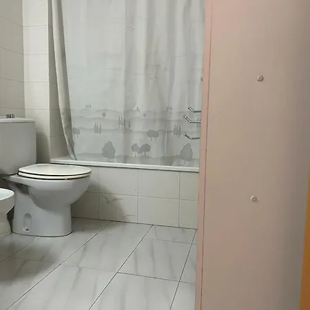 Cami 51 * פלאמוס