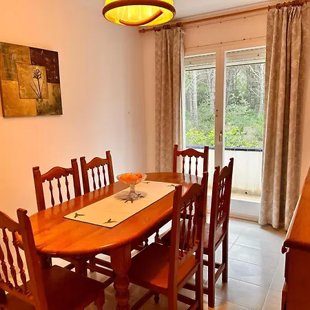 Cami 51 פלאמוס