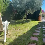 Cami 51